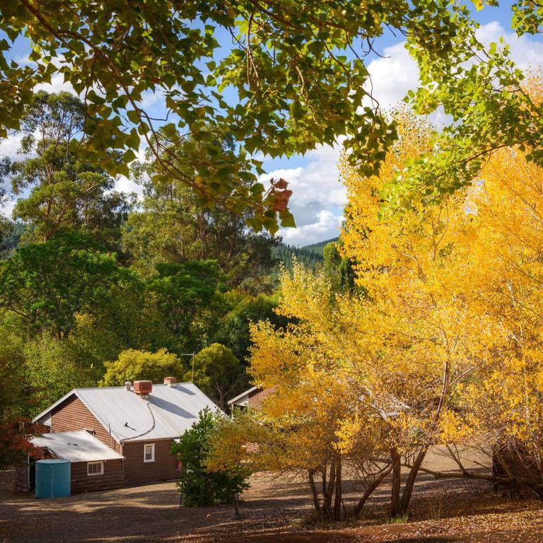 Lewana Cottages Balingup Exterior photo